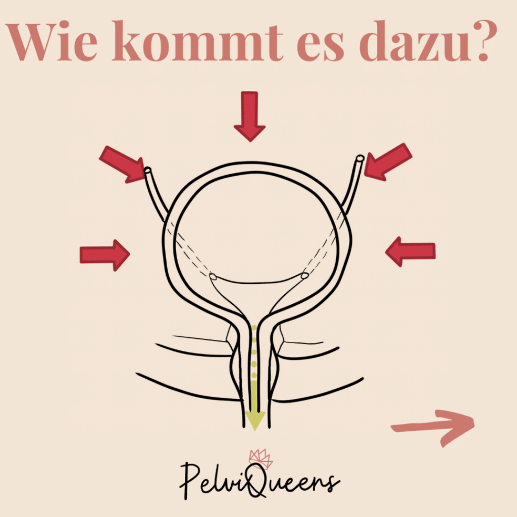 Grafik oder Bild zur weiblichen Blase als sensibles Organ – Symbol für Gesundheit, Balance und Körperbewusstsein. Darstellung der Blasenfunktion, Reizblase, Dranginkontinenz und der Verbindung zwischen Beckenboden, Nerven und Emotionen. Fokus auf Achtsamkeit, Körperhaltung und Blasentraining im Alltag.